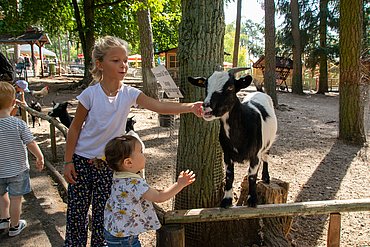 Streichelzoo Freizeitpark Geiselwind
